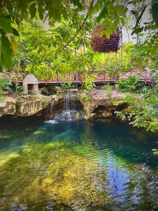 Luxurious Jungle Condo And Private Cenote Tulum